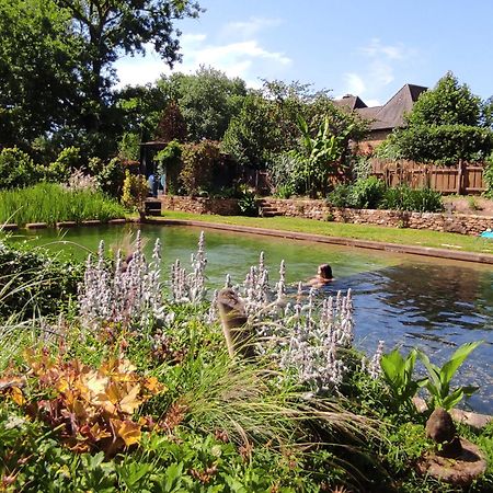 Maison De Charme, Piscine Naturelle Dordogne Perigord Prats-du-Perigord Екстер'єр фото