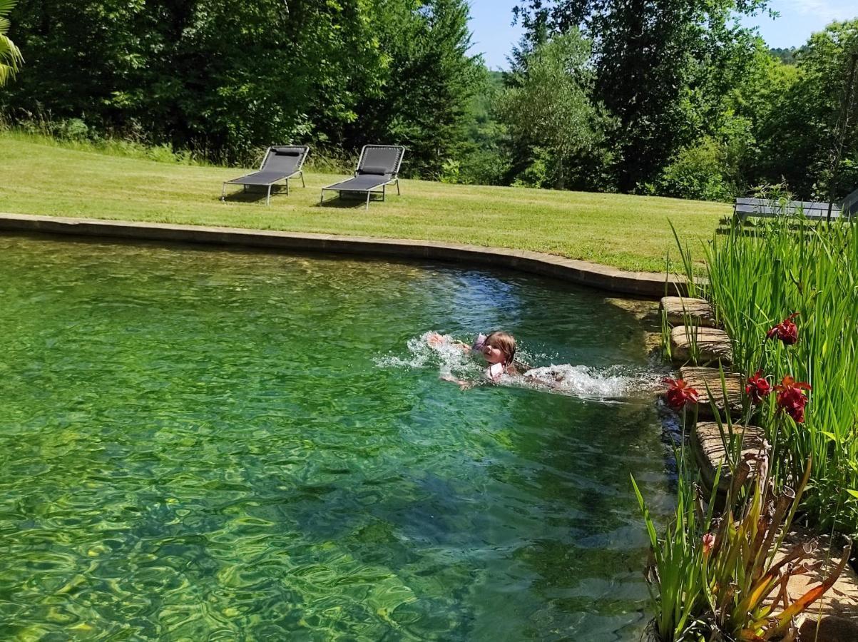 Maison De Charme, Piscine Naturelle Dordogne Perigord Prats-du-Perigord Екстер'єр фото